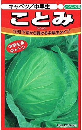 Amazon 日本農林社 キャベツ ことみ 野菜 Amazon 日本農林社 キャベツ ことみ 野菜