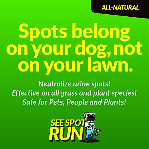 See Spot Run Lawn Protectant - Complete and Safe Natural Lawn Care for Pets. Cures and Prevents Dog Urine Spots (32 oz. hose end concentrate)