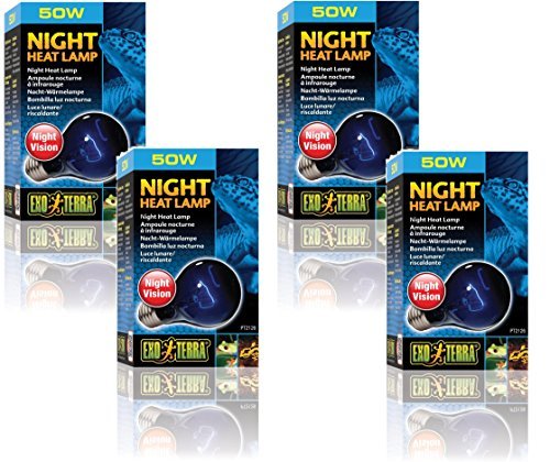 Exo Terra Night-Glo Lamp, 50-Watt - Image 2