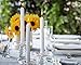 Bolsius Household Candles, Box 10, 290/22 mm White
