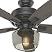 Hunter Fan Company, 54187, 52 inch Bennett Matte Black Ceiling Fan with LED Light Kit and Handheld Remote