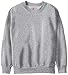 Hanes boys Eco Smart Crew athletic sweatshirts, Light Steel, Medium US