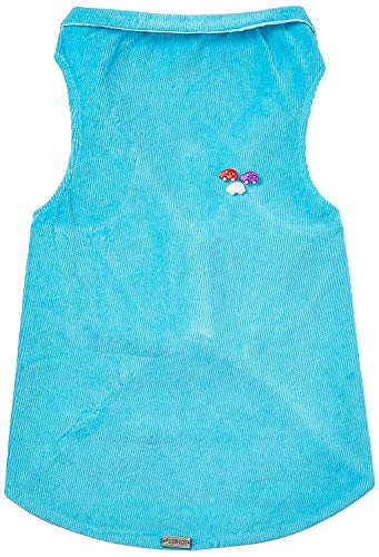 Petriot India TWI-TTERY Blue, Large, 200 Gram