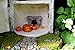 PRETMANNS Fairy Garden House Kit - Miniature Accessories & Furniture – House is 9.25”High – Door Opens Wide – Fairy Garden Supplies