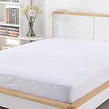 Mattress Protector FDA Registered 100% Waterproof Hypoallergenic Queen Size, Dust Mite Protection, Breathable and Machine Washable, Vinyl Free