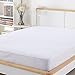 Sable Mattress Protector Queen Size, 100% Waterproof Hypoallergenic, Registered with FDA, Dust Mite Protection, Breathable and Machine Washable, Vinyl Free