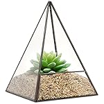 Modern Glass Pyramid Tabletop Succulent Plant Terrarium Box / Air Plant & Cacti Holder Case - MyGift