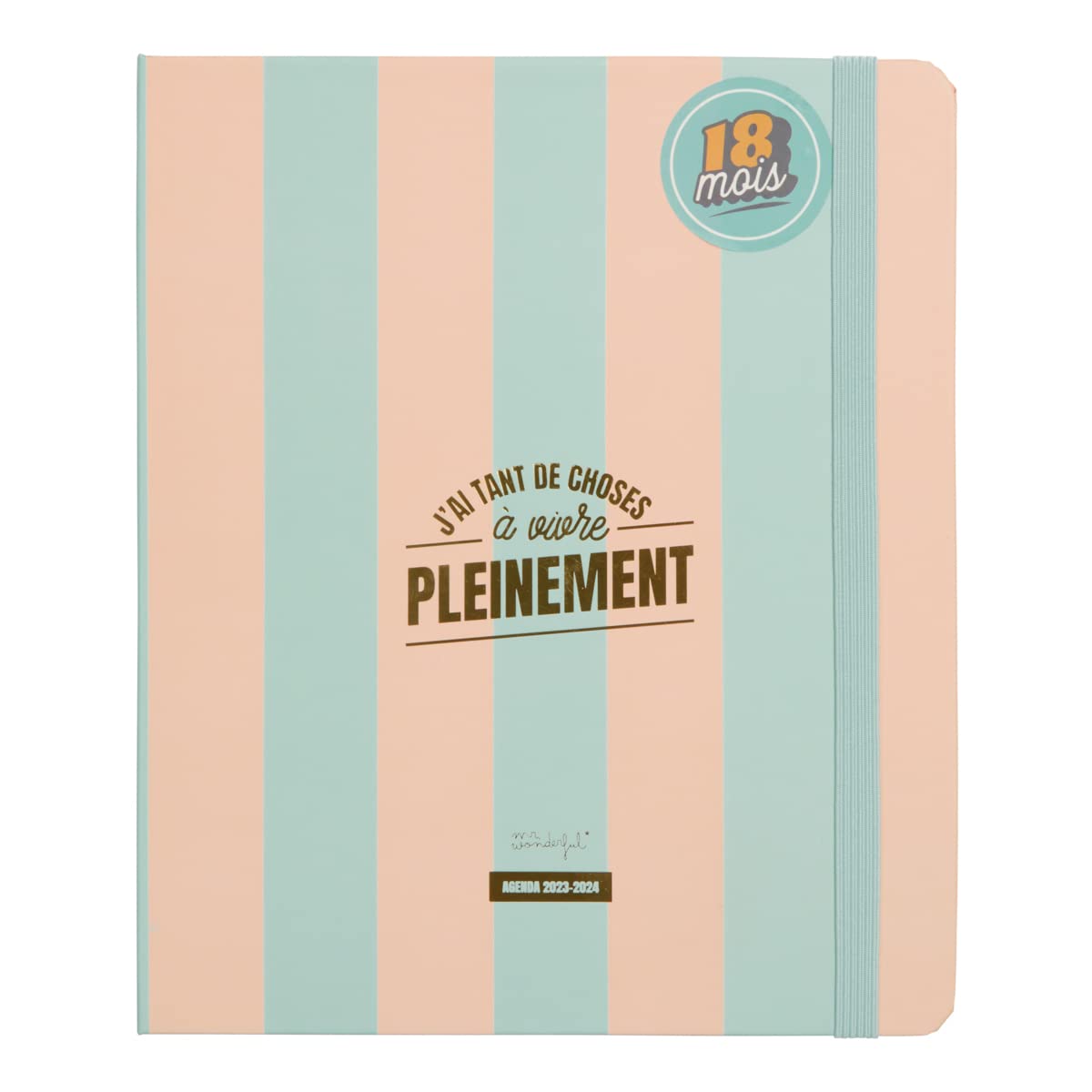 Mr.Wonderful Office 2023-24 Diary Week to View 18 Months - I Have So Much To Live Fully