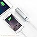 Jackery Mini Premium 3350mAh Portable Charger - External Battery Pack, Power Bank, & Portable iPhone Charger for Apple iPhone SE, Apple iPhone 6s, 6s Plus, 6, 5, iPad Pro, iPad Mini, Samsung Galaxy S7, Samsung Galaxy S6, and S5 (Silver)