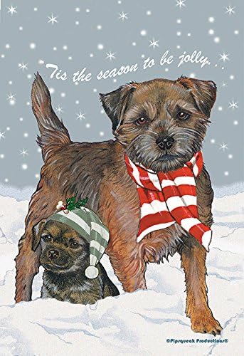 large border terrier