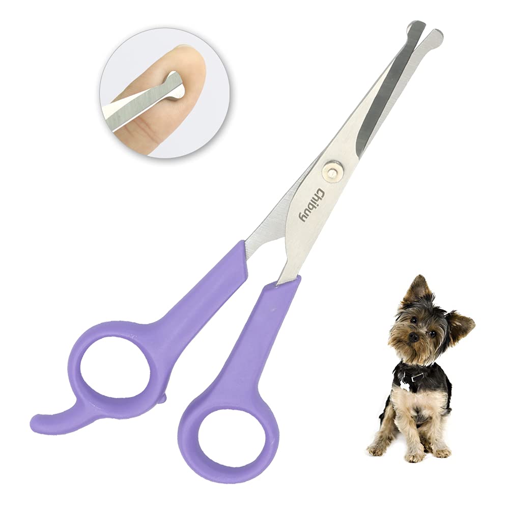 Chi-buy Pet Grooming Scissors for Dogs and Cats, with Safe Round Tips, Stainless Steel Dog Eye cutting Scissors, Home Professional pets grooming Tool (Purple)