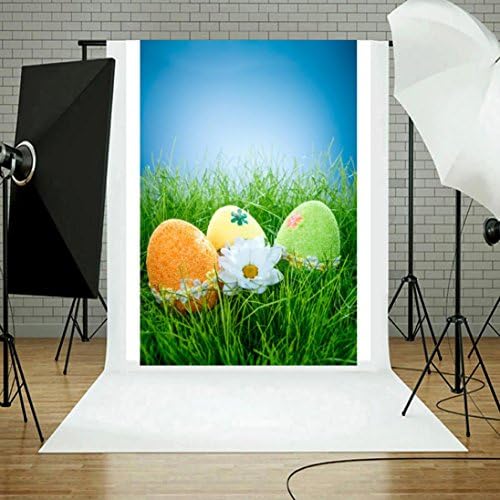 DreamsMAX Easter Day Theme Vinyl Fabric Custom Photo 3D Pattern Pictorial cloth photography Backdrop Background studio prop (N)