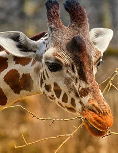 Notebook: Giraffe Zoo Animal Portrait Wild Planet Zoology Wildlife African Safari Conservation by Wild Pages Press