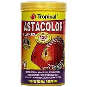 ASTACOLOR 500ml / 100g – Alimento de coloración para Peces de Acuario