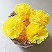 TRvancat Marigold Flower Heads Bulk 15Pcs, Silk Artificial Flowers for DIY Wedding Party Deor 10cm (Yellow)