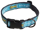Dog Collar