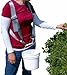 Blueberry Picking Pail - BLUEBERRY PICKING PAIL (harness sold separately)