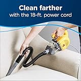 Bissell Cleanview Deluxe