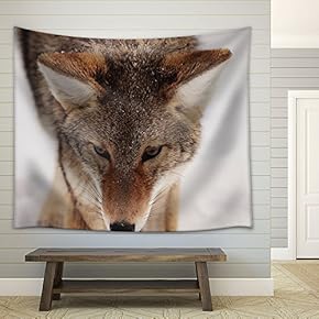 a Wolf Walking in The Snow - Fabric Wall Tapestry Home Decor - 51x60 inches