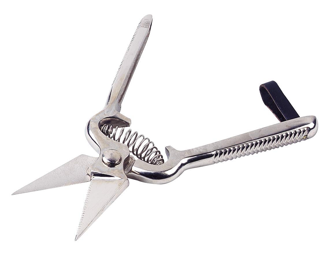 UKAL – Sheep Shears onglons