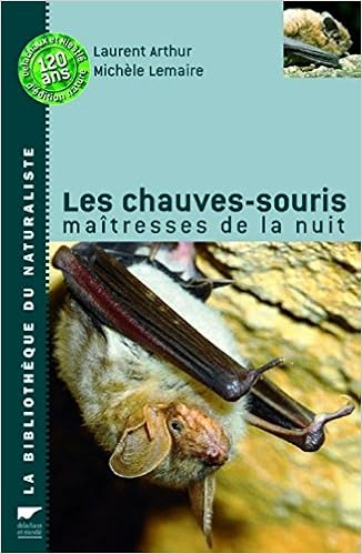 chauves-souris-maitresses-de-la-nuit