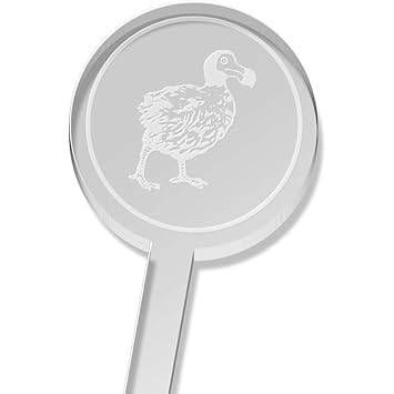 Azeeda 5 X Loiseau Dodo Grand Bâtonnet Mélangeur