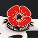 Lest We Forget Poppy Brooch Pin Flower Broach Memorial Day Remembrance Day