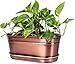 H Potter Herb Succulent Small Planter Antique Copper Finish Brass Accents Indoor Outdoor Garden Pot Plant Box Holder with Tray for Succulents Flowers