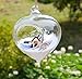 Pack of 3 Glass Hanging Planter Hanging Air Plant Terrarium Decorative Hanging Plant Pots Flower Pots Plant Containers Air Plant Pots Hanging Air Fern Plant Container Fern Plant Pot Fern Terrarium