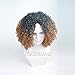 RUISENNA Afro Kinky Wig Short Curly Wigs Black and Brown Ombre WigS for balck Women 100% Heat Resistant Fiber Synthetic Wigs