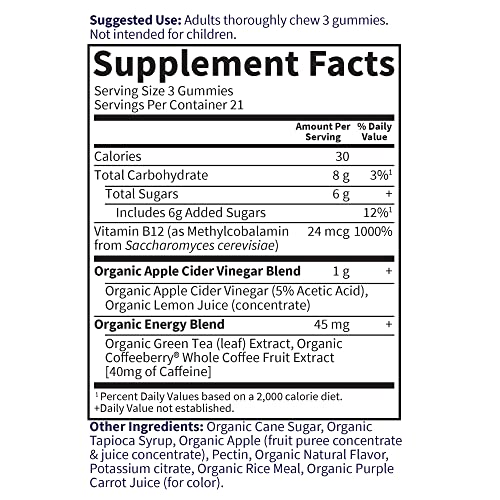 Apple Cider Vinegar Energy Gummies by Garden of Life mykind Organics