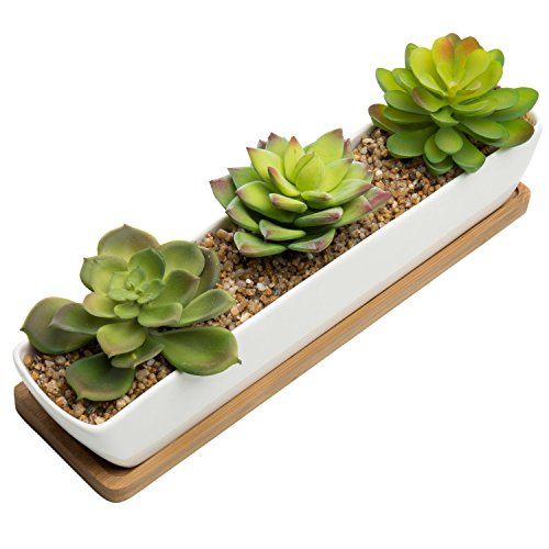 MyGift Potted Artificial Succulent Plants and Rock Fillers Fake Plant