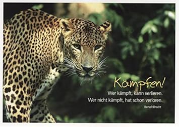 Get Sprueche ueber kaempfen HD