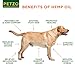 Hemp Oil for Dogs and Cats - 1000mg - Premium Hemp Extract - Advanced Formula - Grown & Made in USA - Omega 3, 6 & 9 - Supports Hip & Joint Health, Natural Relief for Pain, Separation Anxiety
