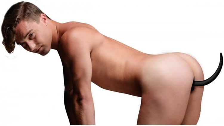 Woof XL Silicone Puppy Tail Butt Plug, Black - Image 4