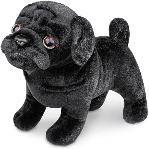 Black Pug