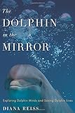 Dolphin Diaries My 25 Years With Spotted Dolphins In The