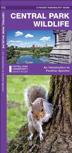 Central Park Wildlife: A Folding Pocket Guide to Familiar Species (Pocket Naturalist Guide Series)