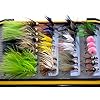 36Pieces-Dry-Fly-Wet-Fly-and-Nymph-Fly-Lure-Assotment-Fly-Box-for-Trout-Fly-Fishing-Flies