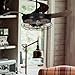Parrot Uncle Ceiling Fans with Lights and Remote Farmhouse Black Ceiling Fan with Light for Bedroom, 4 Retractable Blades, 46 Inch