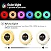 FKANT Wake Up Light, Nature Light Sunrise Simulation Alarm Clock, Snooze Function 7 Colors Atmosphere Lamp, 6 Natural Sounds and FM Radio for Kids Adults Bedrooms(6639)