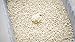 Rufus & Coco WeeKitty | Natural Flushable Clumping Cat Litter | Low Tracking Biodegradable Pellets | Corn 8.8lbs bag