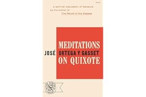 Meditations on Quixote