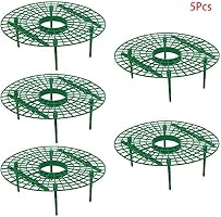 Hinmay Soporte para Fresas, 5 Unidades de Soporte para Plantas de ...