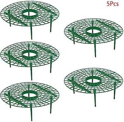 Hinmay Soporte para Fresas, 5 Unidades de Soporte para Plantas de ...