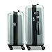 Samsonite Pulse DLX Hardside Luggage with Spinner Wheels, Silver, 2-Piece Set (20/28)