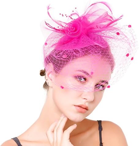Fascinaor Hair Clip Feather Veil Wedding Party Hat (Rose)