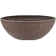 PSW Pot M30C Collection Shallow Garden Bowl Low Planter for Succulents, Bonsai, Fairy Gardens, Herbs, 12-inch, Chocolate