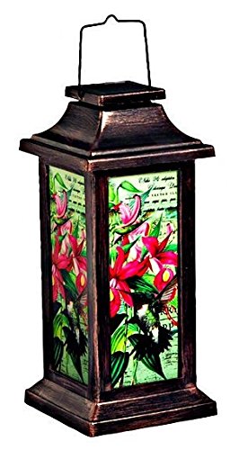 Amazon Com Evergreen Fluttering Garden Friends Solar Lantern