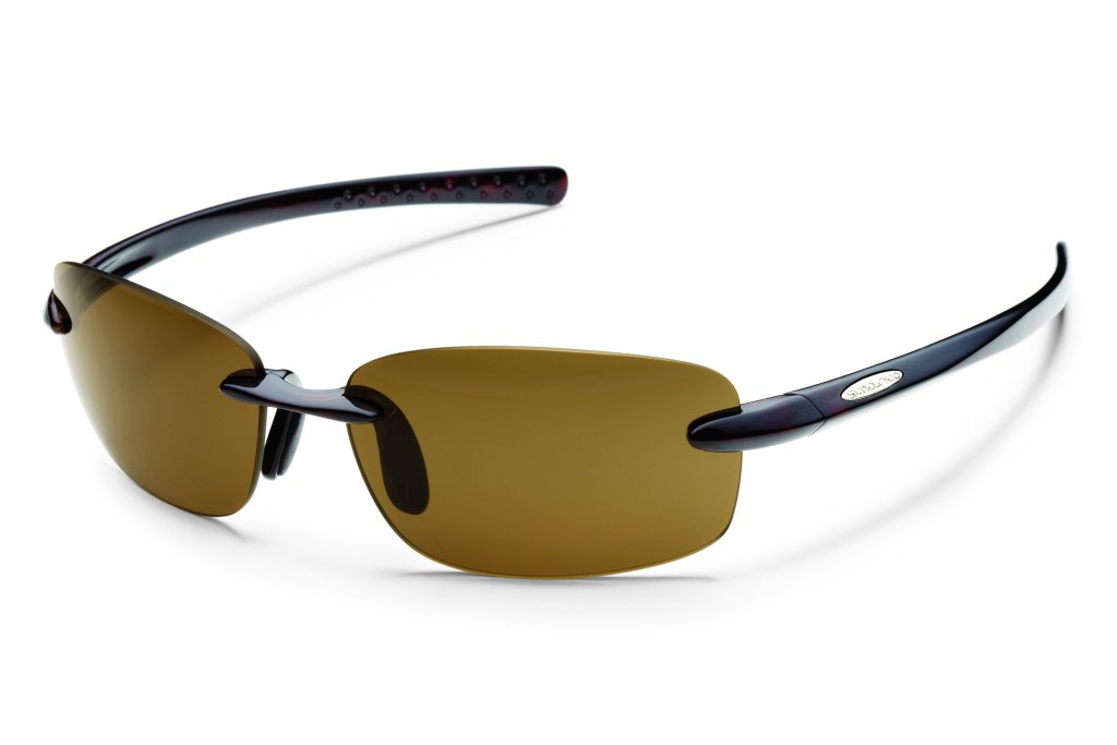 SunCloud Polarized Optics Momentum